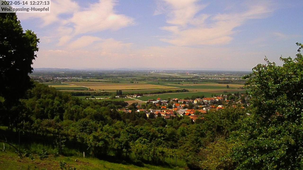 Bild_Weingarten_Blick_nach_Knigstetten